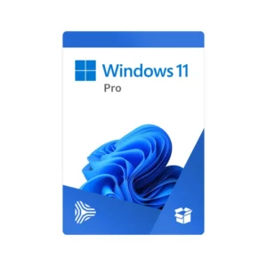 Phần mềm Windows 11 Pro 64bit 1pk DSP OEI DVD